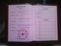 深圳集装箱公司努力得来的荣誉资质